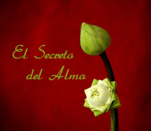 El Secreto del alma